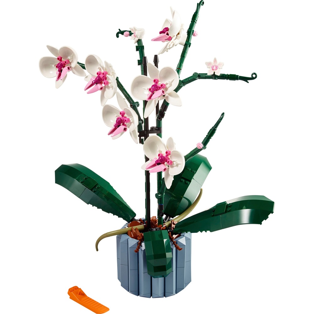 LEGO Icons 10311 Botanische Kollektion Orchideen-Blumen-Set für Erwachsene
