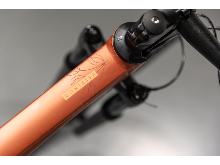 Scott Contessa Scale 940