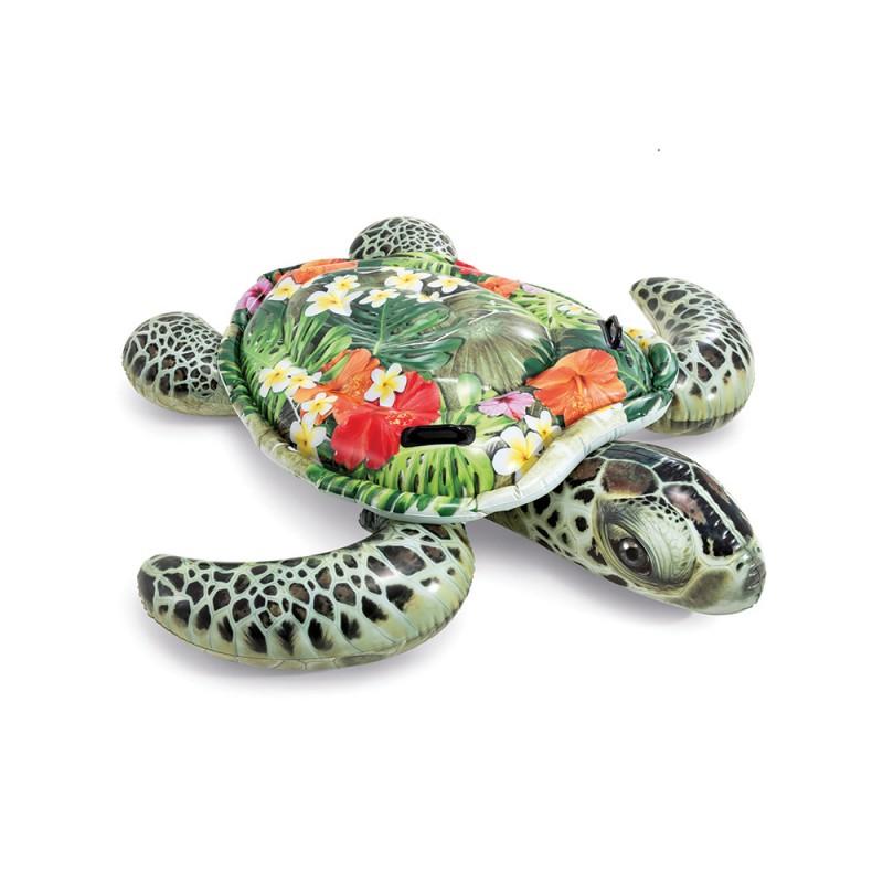 TORTUE A CHEVAUCHER
