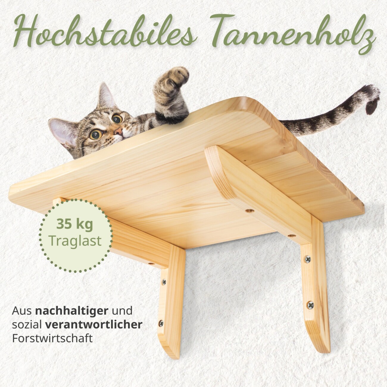 KATZENLIEGE WOOWOOD
