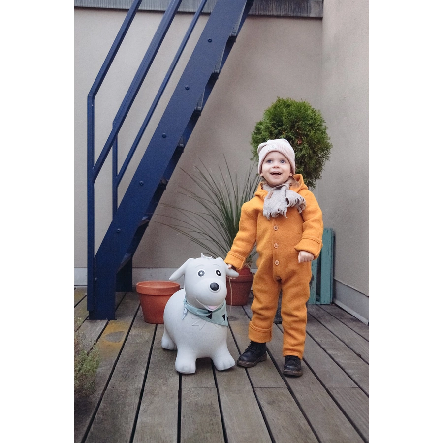 KINDSGUT Hüpftier Hund