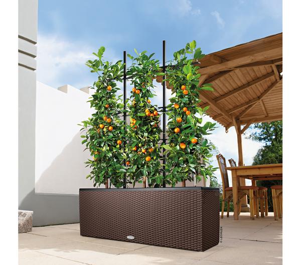 LECHUZA® Trio Cottage Rankgitter, schwarz,
