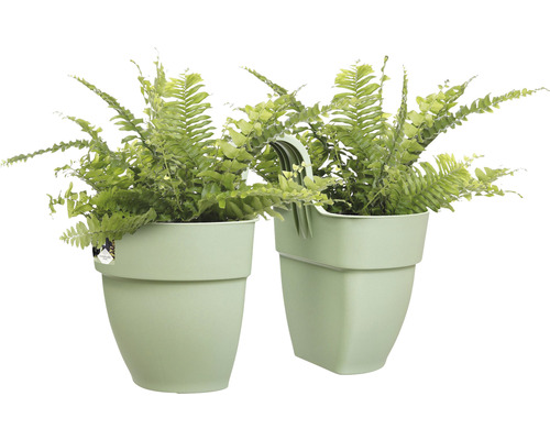 elho Vibia Campana Flower Twin 21 bloembak, kunststof, 21 x 38,4 x 26,5 cm, pistachegroen
