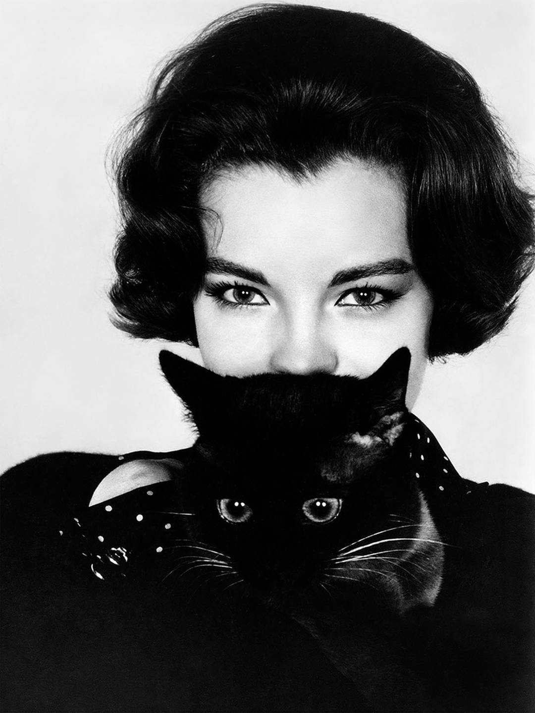 Romy Schneider with Cat by Classic Collection II - Darlings - Small Limited Edition. 30x40.