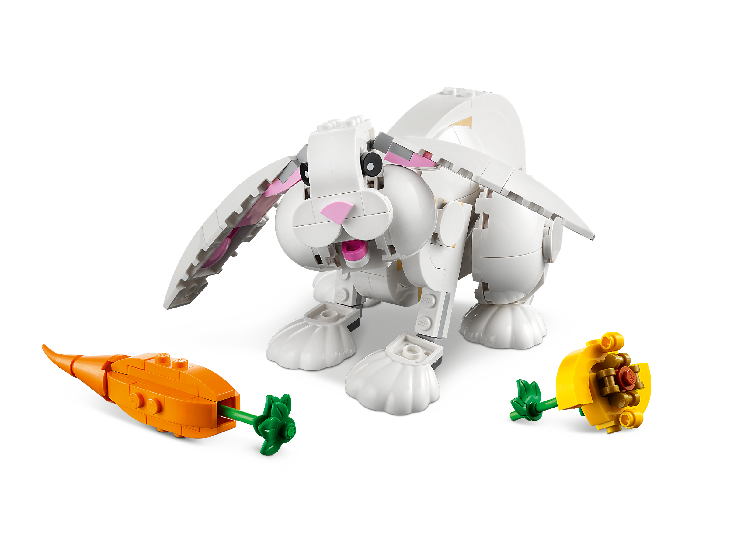 Coelho Branco 31133