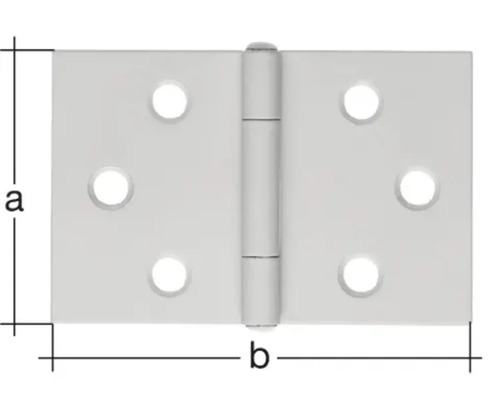 Breed scharnier met geklonken messing pen, 30 x 47 mm, geel verzinkt