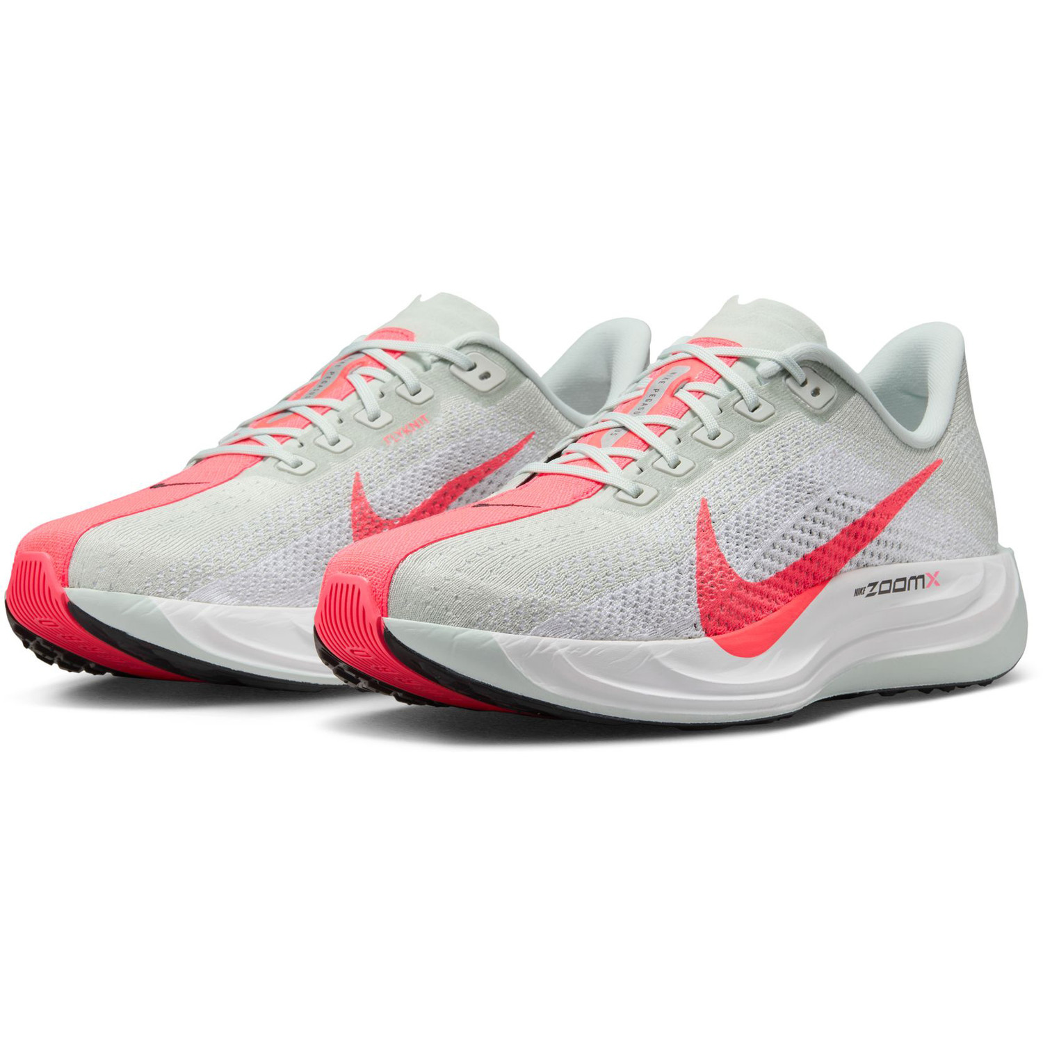 Nike Pegasus Plus Heren