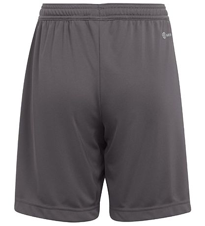 adidas Performance Shorts - Entrada 22 - Grau