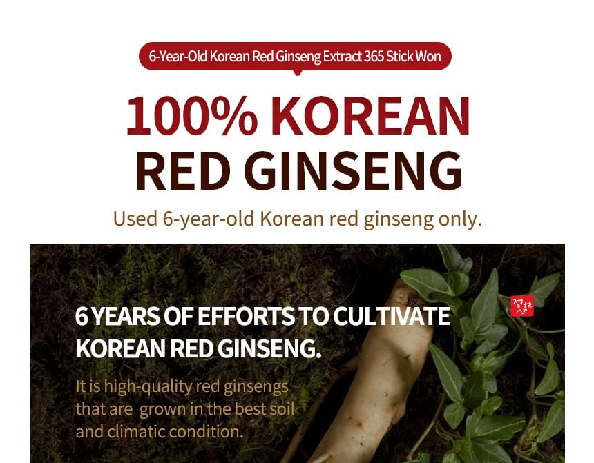 JUNGWONSAM - Koreaans rode ginseng-extract 365 Stick Won