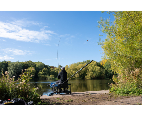 Cage Feeder Preston Carp Maggot Feeder Medium