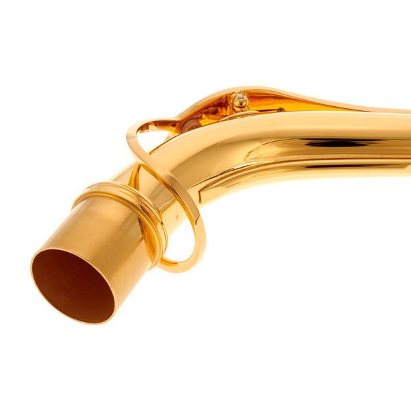 Selmer S- Neck Alto III GP