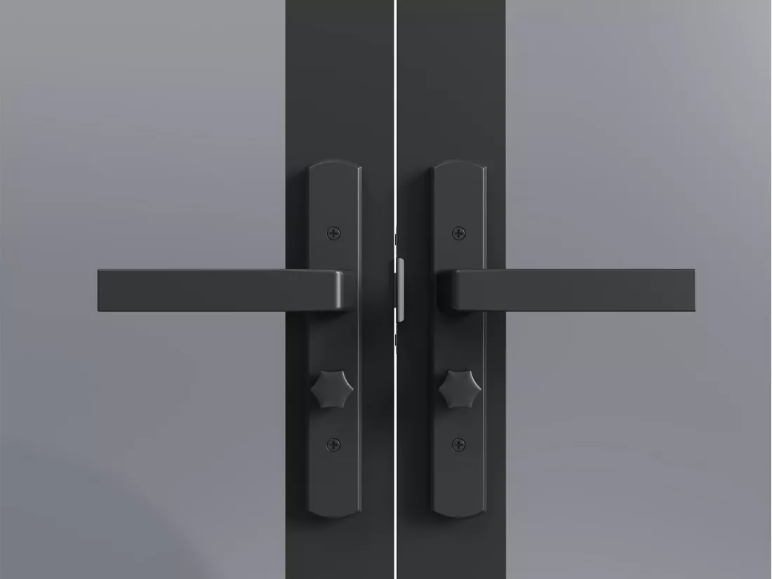 Bloc porte réversible à deux battants en aluminium et verre trempé fumé - 2 x H204 x L93 cm - Noir - SEROTO