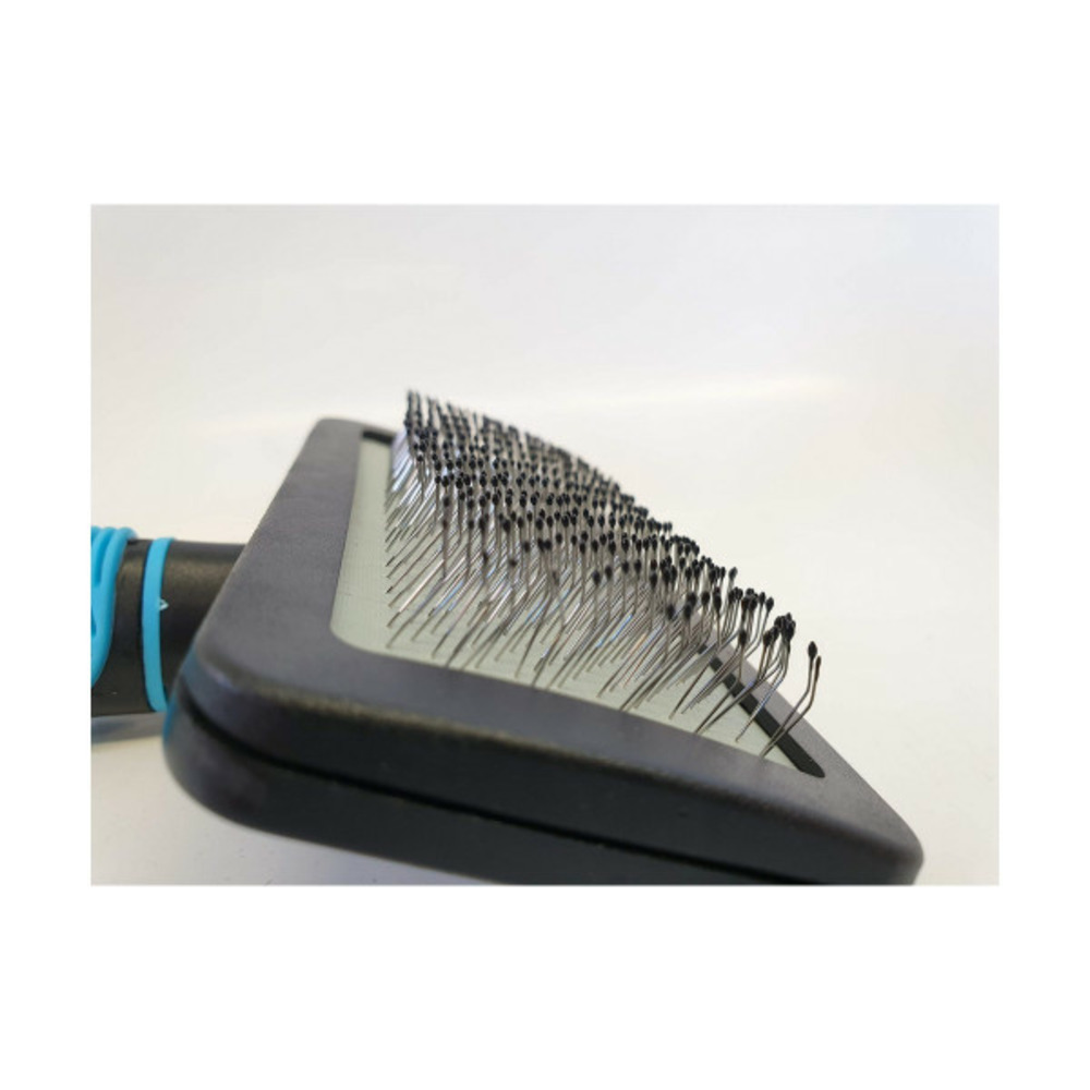 Brosse pour chiens bleu