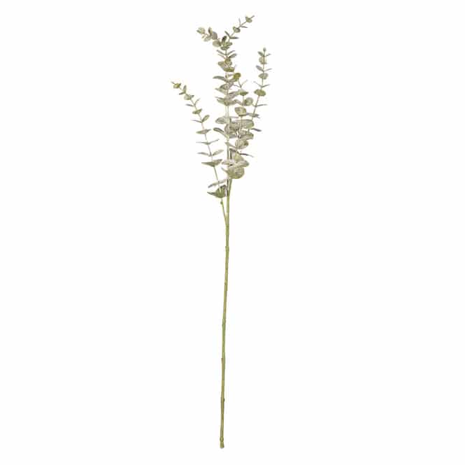 Eukalyptuszweig - ca. 73 cm