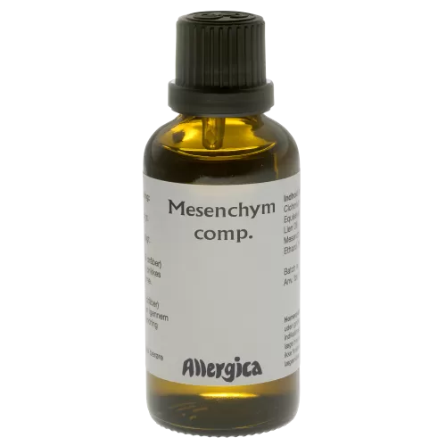 Allergica Mesenchym comp. - 50 ml
