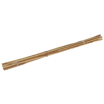 Talen Tools bamboestokken 60 cm / Ø 6-8 mm (10 stuks)