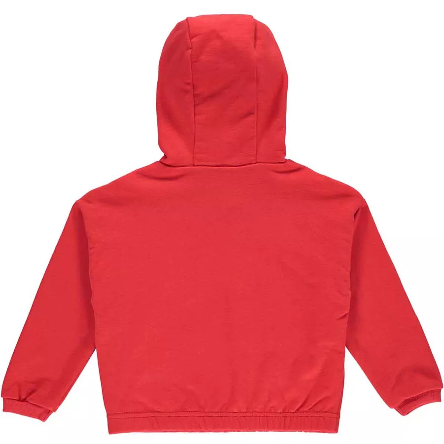 Fred's World Hoodie Lollipop