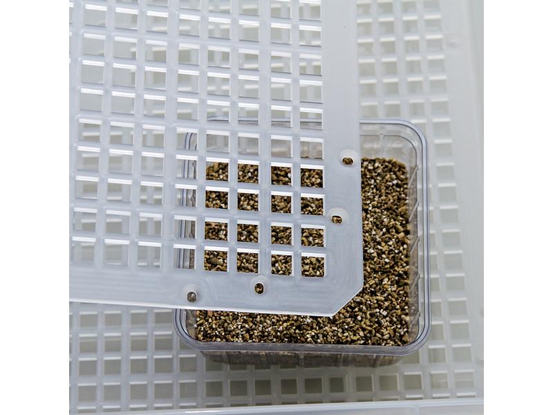 Hobby Terraristik Easy Breeder Inkubator, 48 x 25 x 51 cm Brutmaschine für Reptilien