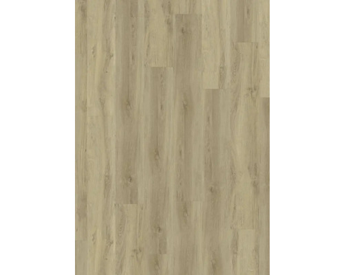 Vinyl plank Dryback 55 Appaloosa Medium, te verlijmen, 23x150 cm