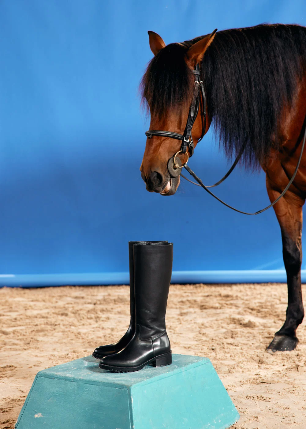 BOTTE BAIES CUIR NOIR