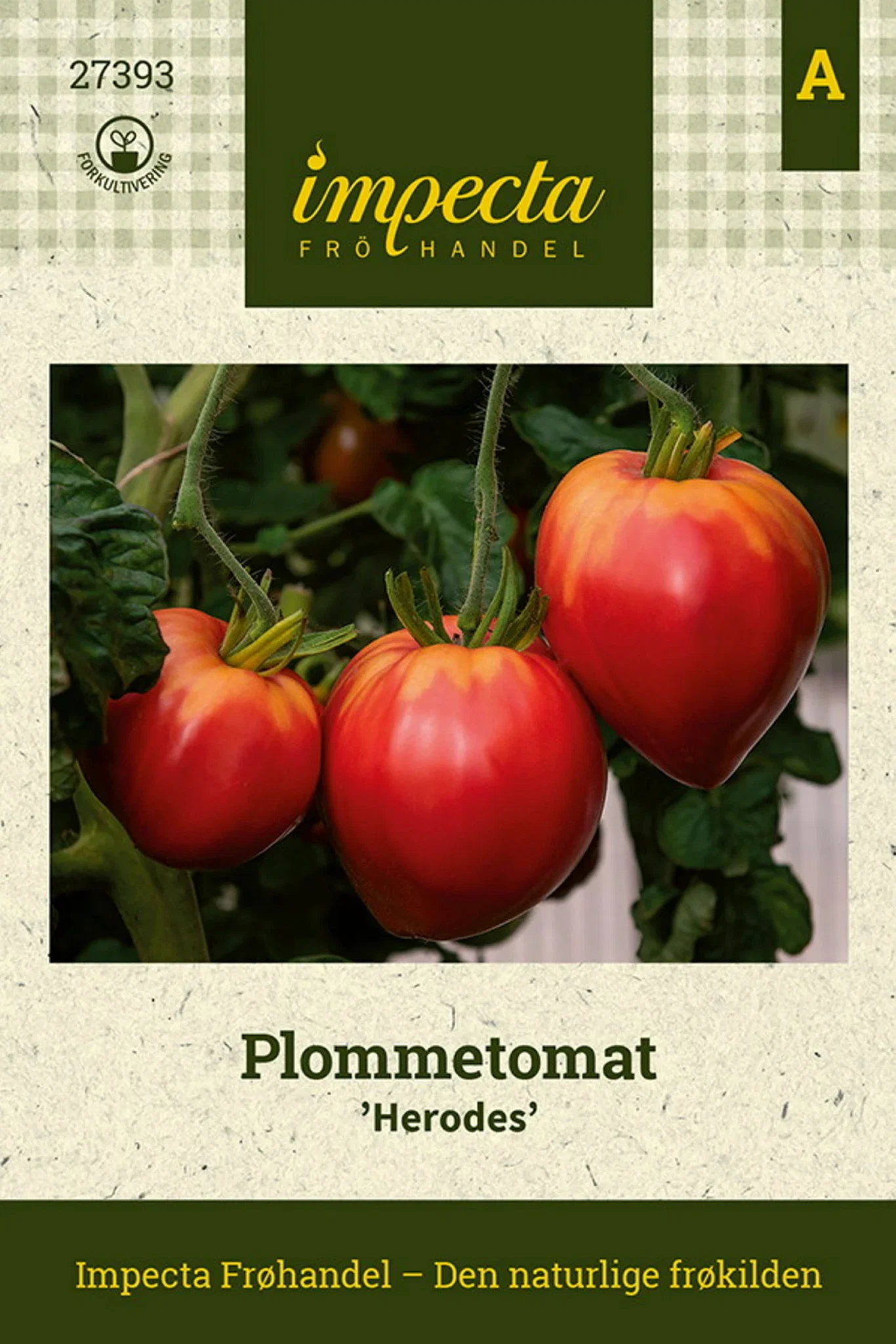 Solanum lycopersicum 'Herodes' Plommetomat 'Herodes'