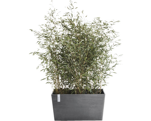 Ecopots Paris kunststof plantenbak, 99 x 46 x 50 cm, grijs