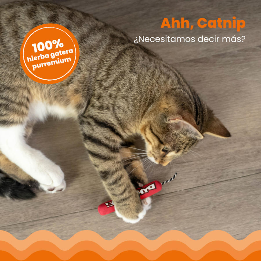 Gatos de pelúcia vermelhos da Outward Hound Catstages Green Magic Dynamite