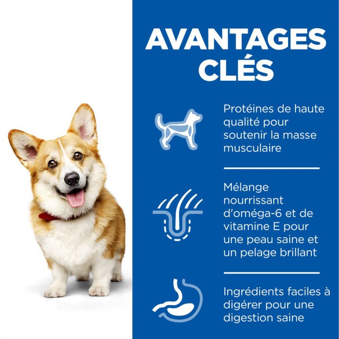 HILL'S Science Plan Small & Mini Adult au Poulet - Croquettes pour chien