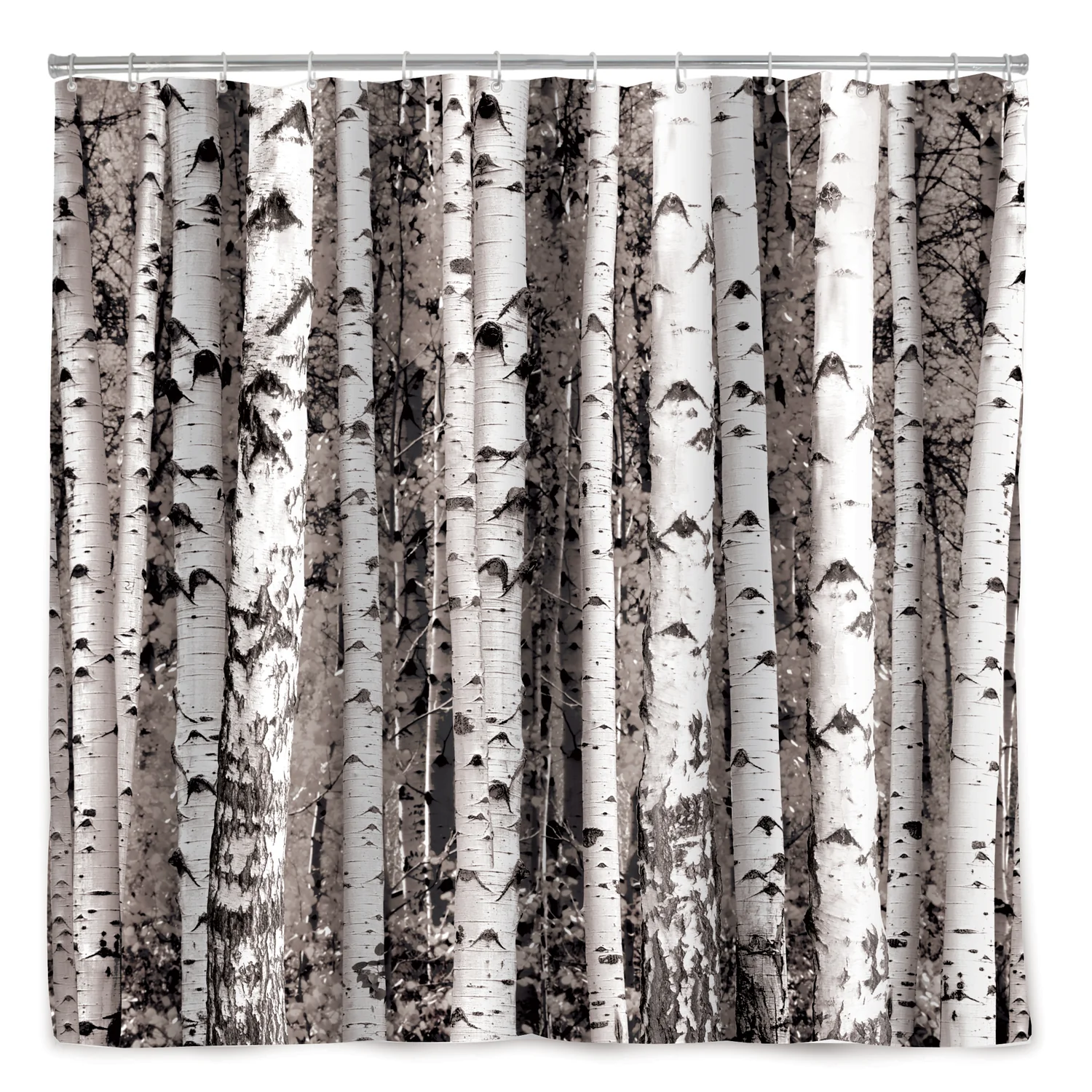 Birch Shower Curtain