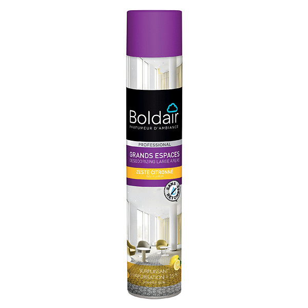 Désodorisant Boldair grands espaces destructeur d'odeurs 750 ml