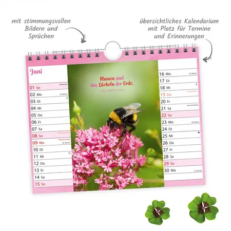 Trötsch Postkartenkalender 