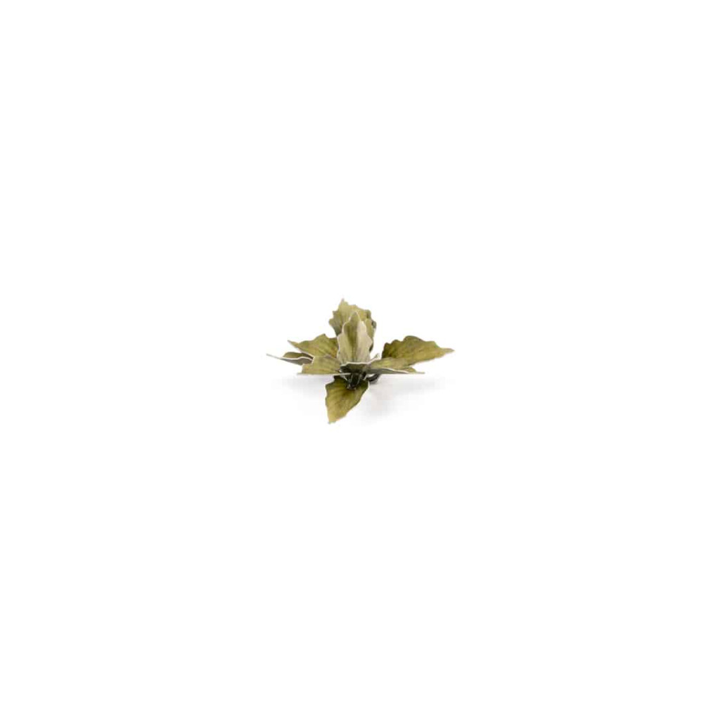 Laser Plants - Plantain Lily