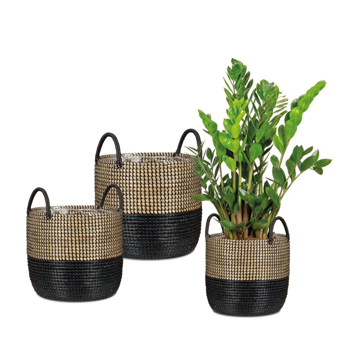 Scheurich Seagrass 34, plantenbak/mandpot met handgrepen van zeegras, kleur: Nature Black, diameter 34 cm, hoogte 30,5 cm, inhoud 26,9 l.