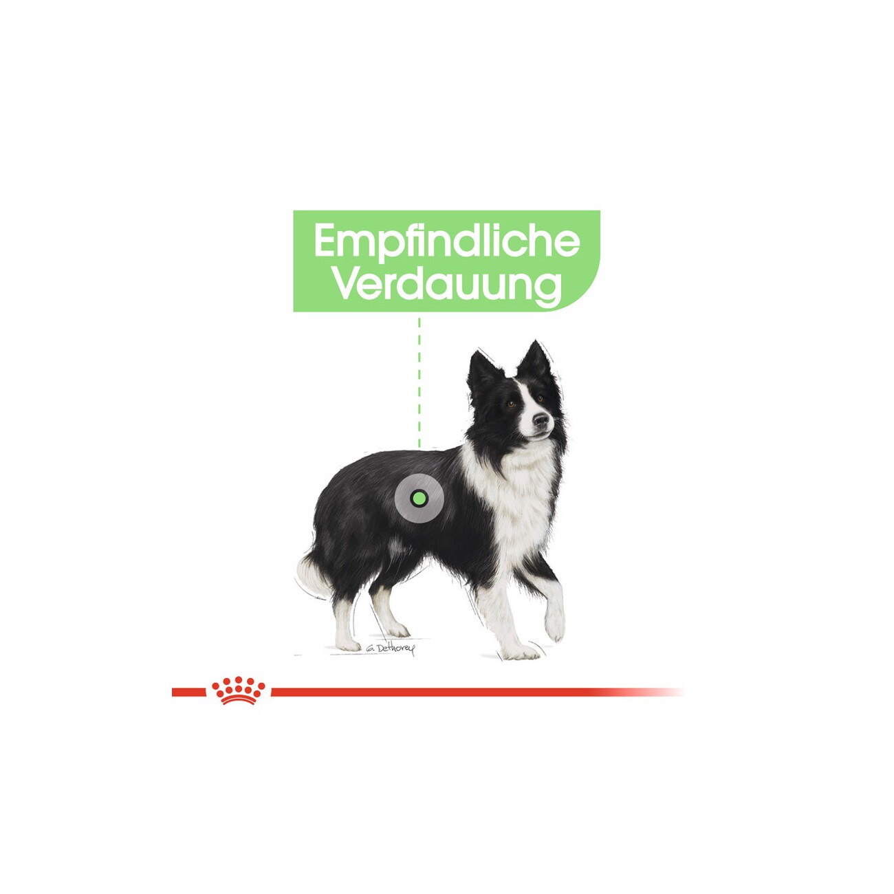 ROYAL CANIN Digestive Care Medium 3 kg