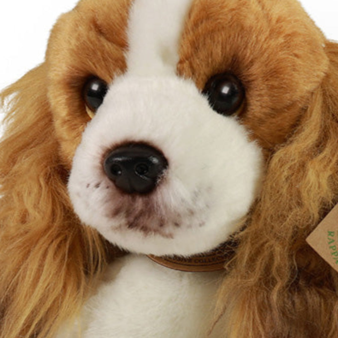 rappa knuffelhond cavalier - 30 cm