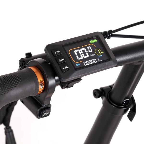 Youin Bicicleta Elétrica Texas II FAT 20