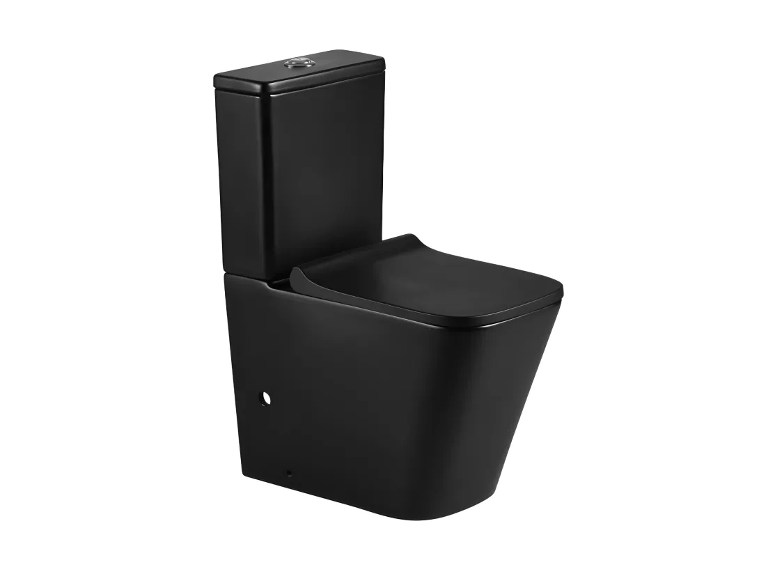 Toilette WC à poser PISA en céramique noir mat