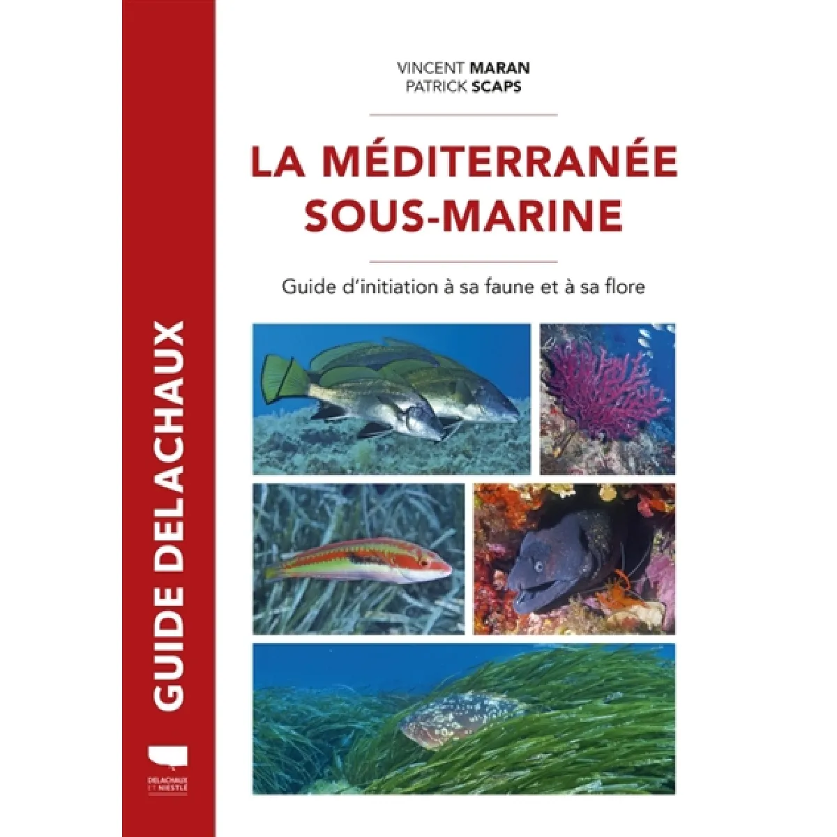 La Méditerranée sous-marine : guide d'initiation à sa faune et à sa flore