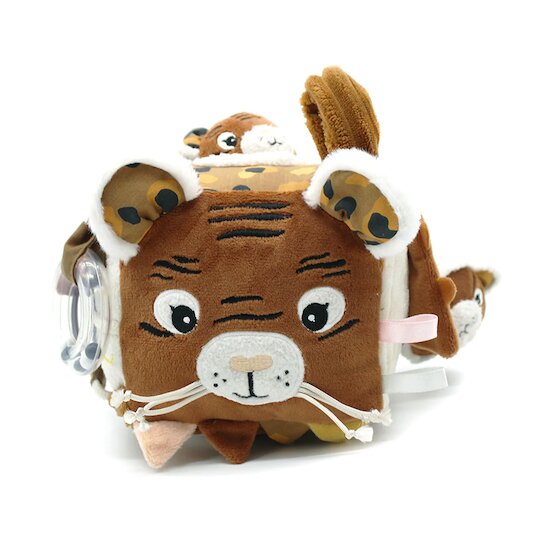 Speculos le tigre Cube d'activités   de               Les Déglingos