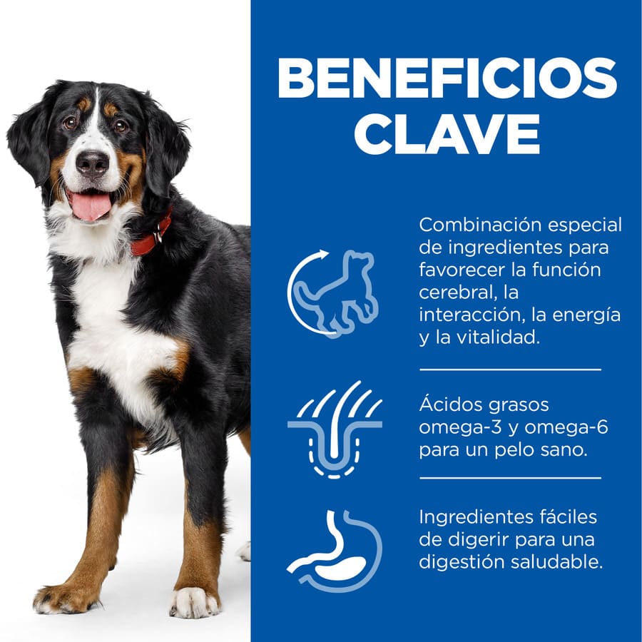 Plano de Ciências Hill's Vitalidade juvenil Grande plano para cães