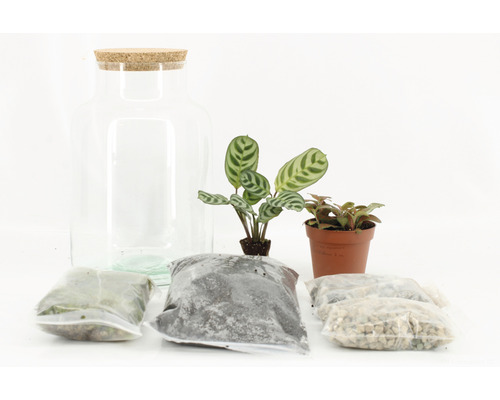 Flessentuin DIY Set Complete Set Basis H 26-28 cm Ø 17 cm