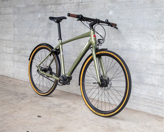 DAILY QUEST Pinion City- und Alltagsvelo  grün  48 CM