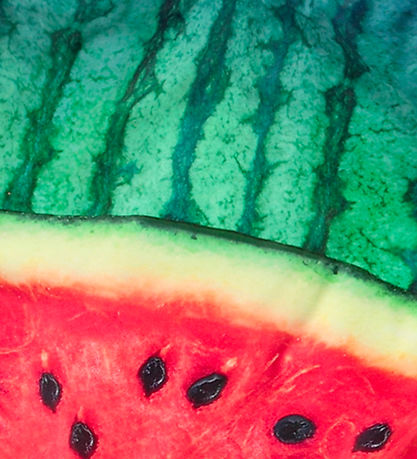 Molo Badeanzug - UV50+ - Nika - Melone