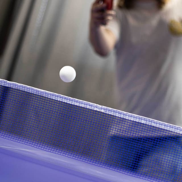 ProSport Bordtennisbord Elite