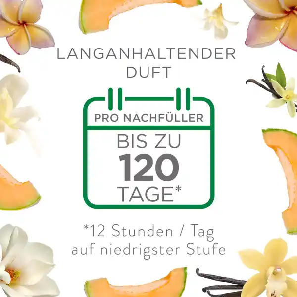Duftölflakon Nachfüller Duo Sommervergnügen