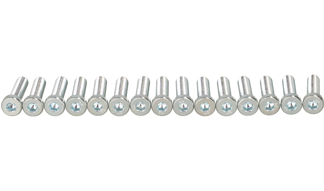 Unbraco bolte 6x25 mm - 15 stk.