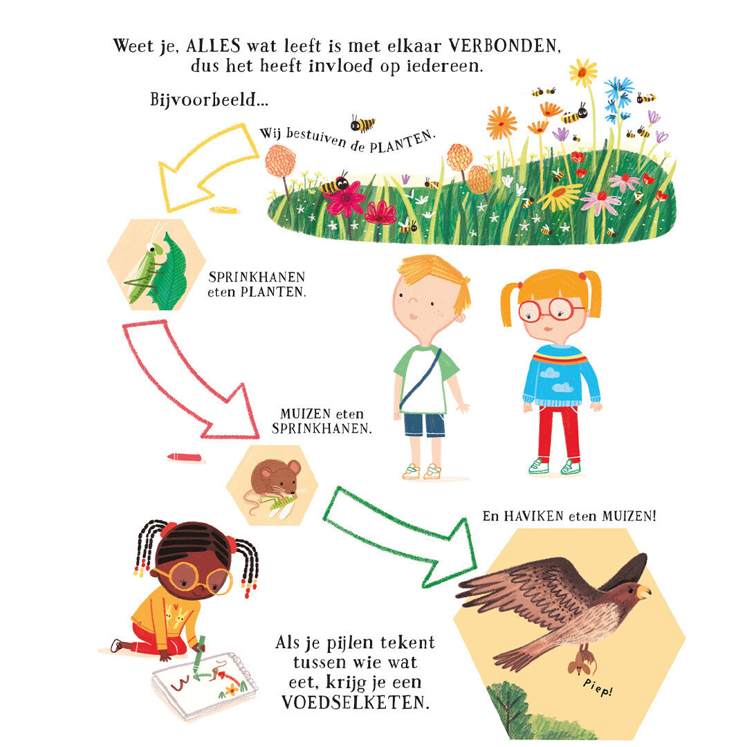 Usborne kunnen we de bijen echt helpen?