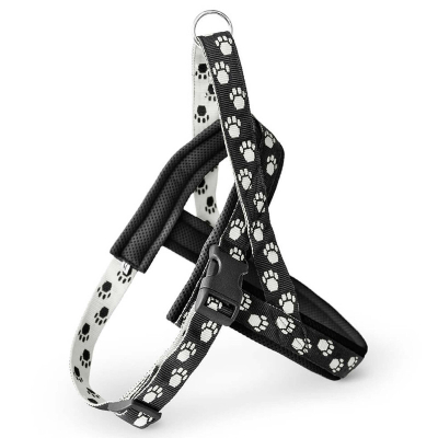 Freezack Nordic AB XL 64-88cm
