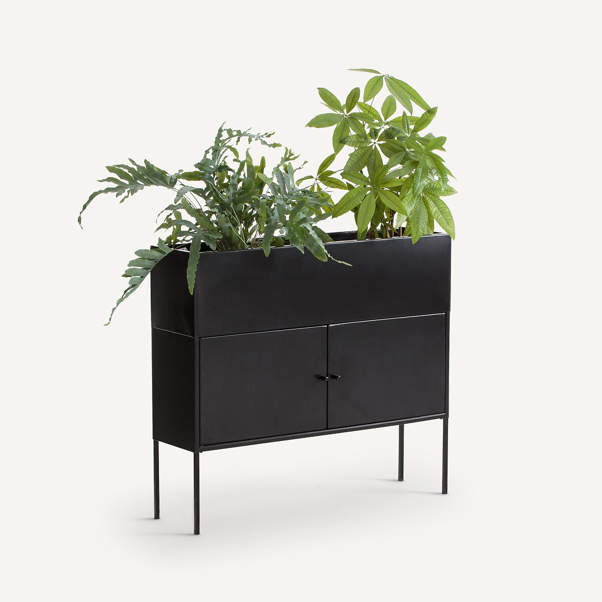 AM.PM<br>Planteira de ferro, Consuela