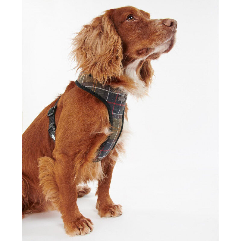 Tartan Dog Harness - Harnais pour chien